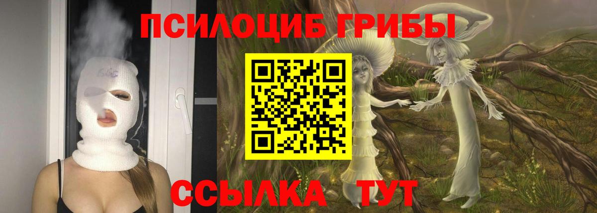 Галлюциногенные грибы GOLDEN TEACHER  Вход с VPN  где можно купить   Сафоново 